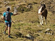 03 Incontro con bei cavalli al pascolo sopra il Rif. Dordona